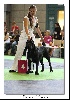  - World Dog Show