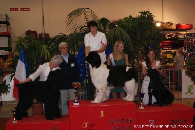 d'Haya Shvan - Clara sur le podium du ring d'honneur à Macon